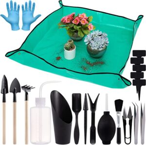 ANPHSIN Indoor Plant Succulent Tool Set