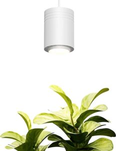 The Best Indoor Plant Light and the Types for Your Garden 11 Aspect Grow Light
