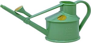 Bonsai Watering Can