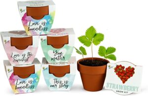 Buzzy Terracotta Mini Grow Pots