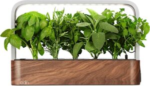 EDN Small Garden