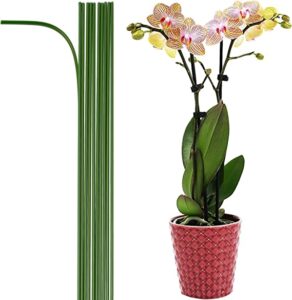 13 Colorful Indoor Flower Plants to Beautify Your Garden 20 EESC2Y Bendable Garden Plant Support Stakes Sticks