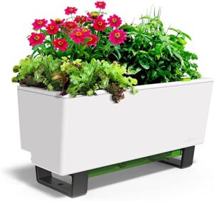 13 Colorful Indoor Flower Plants to Beautify Your Garden 14 Glowpear Self Watering Mini Bench Planter