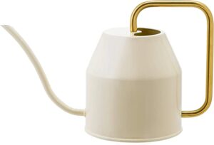 Ikea watering can