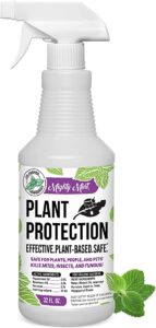 13 Colorful Indoor Flower Plants to Beautify Your Garden 24 Mighty Mint 32oz Plant Protection Peppermint Spray