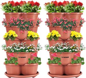 13 Colorful Indoor Flower Plants to Beautify Your Garden 26 VIVOSUN 2 Pack 5 Tier Vertical Gardening Stackable Planter