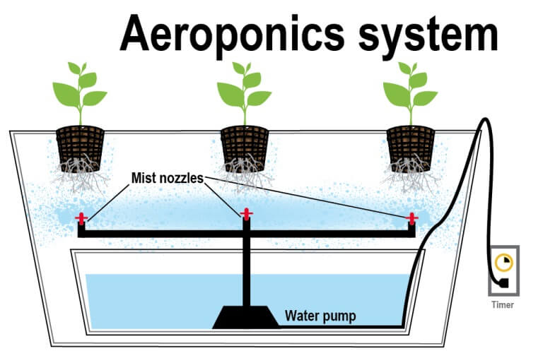 Hydroponic Garden: Top 7 Picks and Tips on How to Grow 6 Aeroponic system