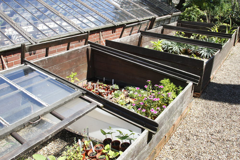 cold frame greenhouse garden