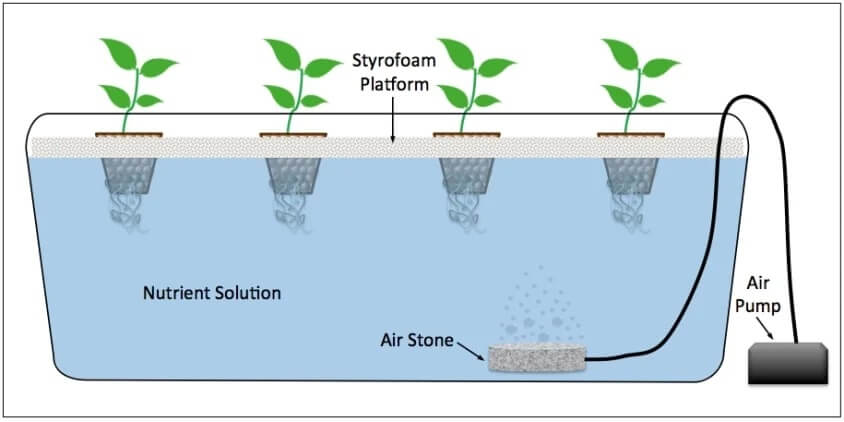 Hydroponic Garden: Top 7 Picks and Tips on How to Grow 3 Deep water culture hydroponic system