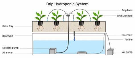 Hydroponic Garden: Top 7 Picks and Tips on How to Grow 7 Drip hydroponic system