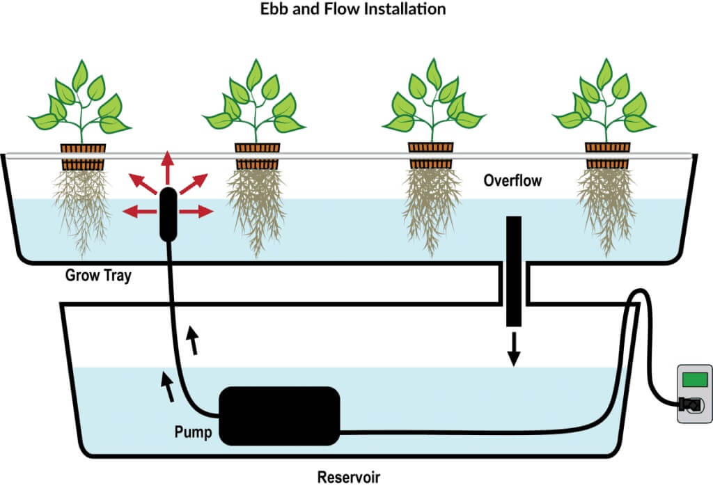 Hydroponic Garden: Top 7 Picks and Tips on How to Grow 4 Ebb and flow hydroponic system