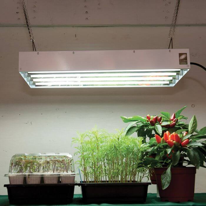 The Best Indoor Plant Light and the Types for Your Garden 5 fluorescent indoor plant light