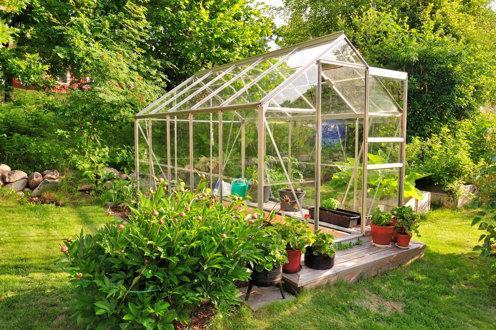 greenhouse garden indoors