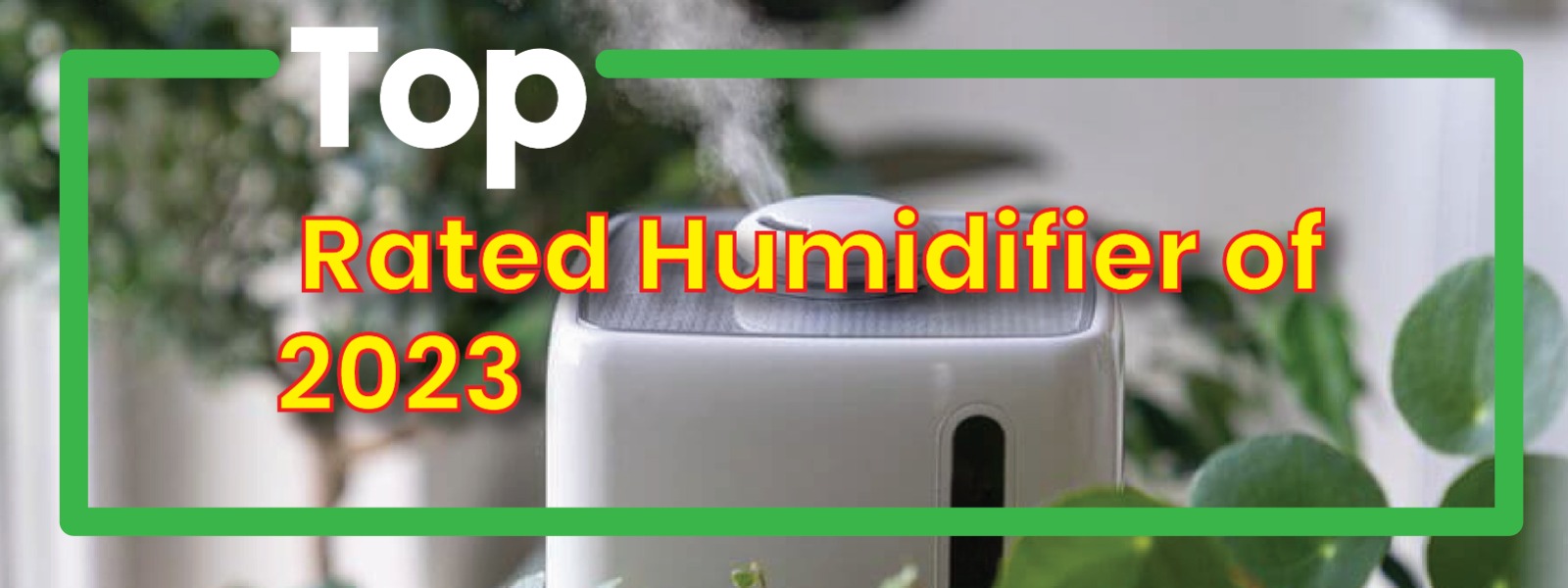 Read more about the article 7 Best Humidifiers and How to Increase Humidity for Your Indoor Plants