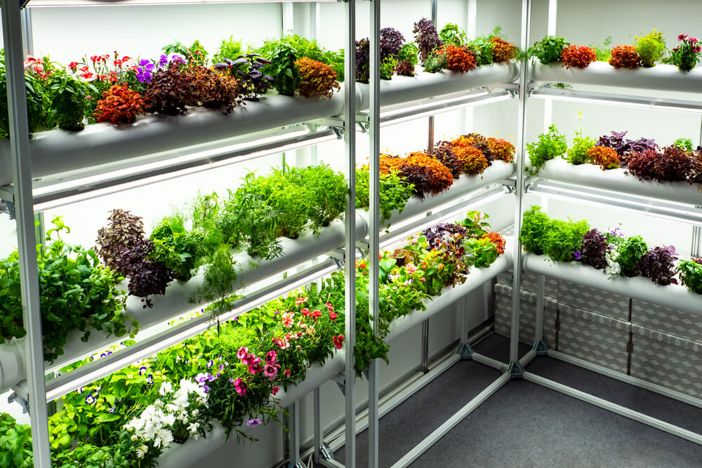 Hydroponic Garden: Top 7 Picks and Tips on How to Grow 1 Indoor Hydroponic Garden