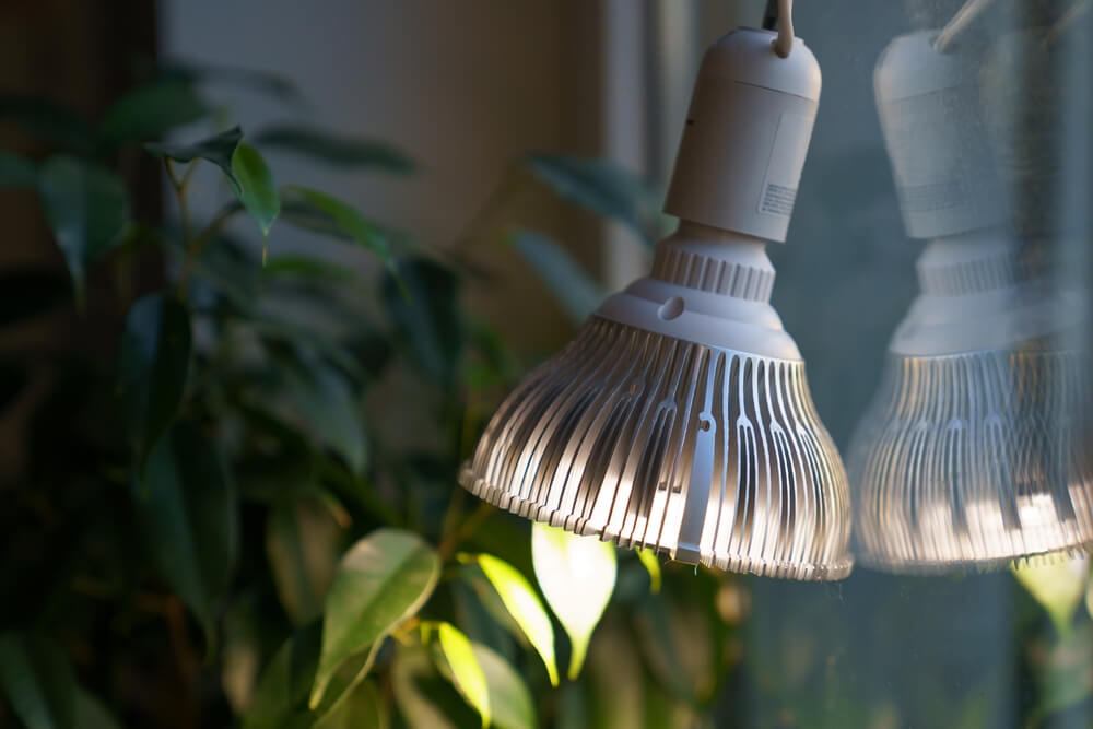 The Best Indoor Plant Light and the Types for Your Garden 1 indoor plant light