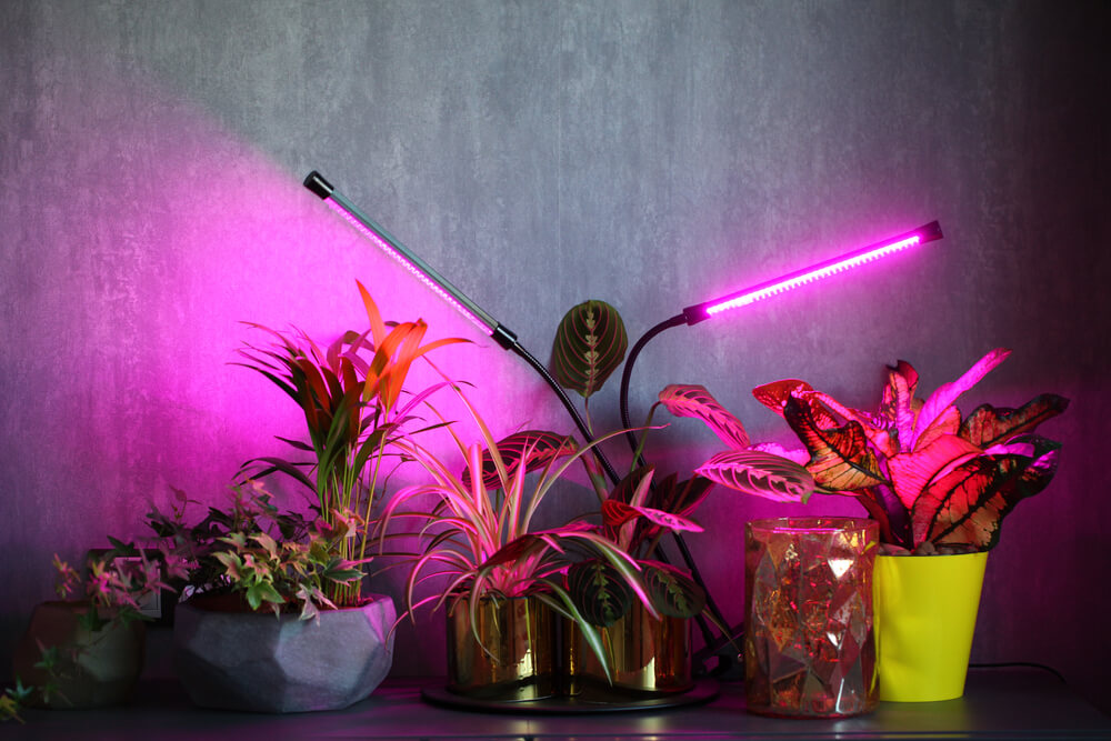The Best Indoor Plant Light and the Types for Your Garden 2 indoor garden grow light