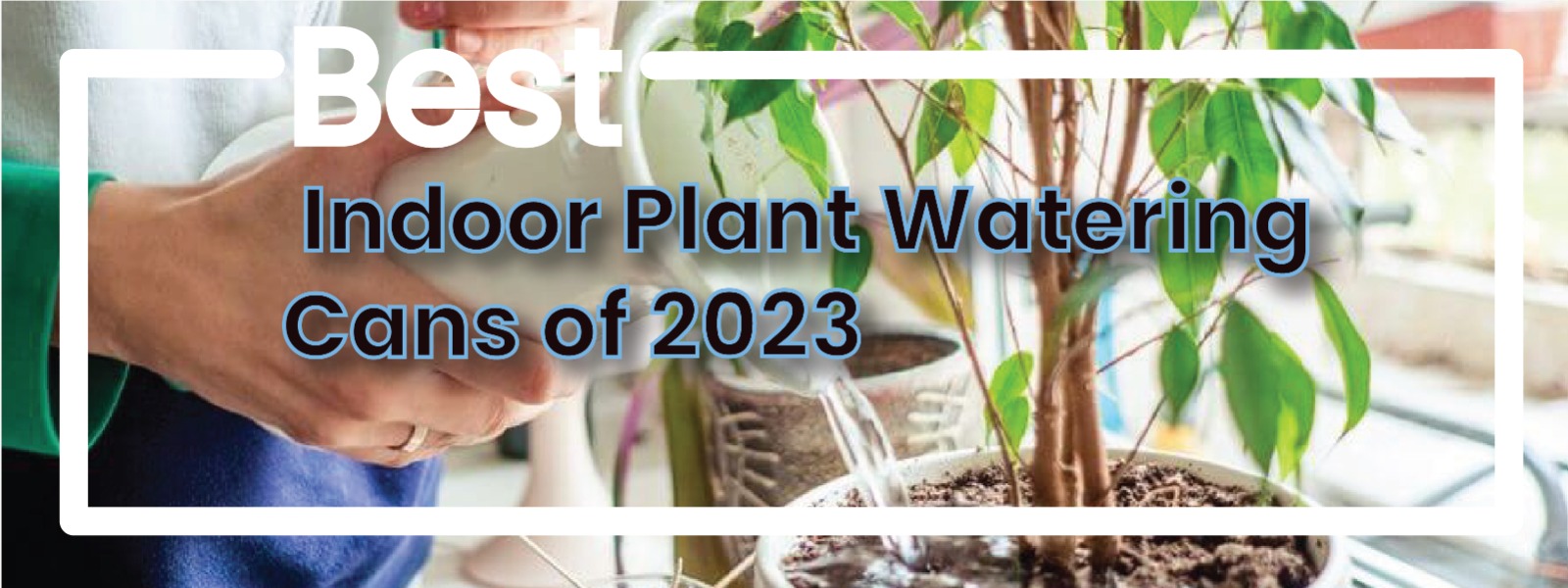 Read more about the article 7 Best Indoor Plant Watering Cans and Helpful Watering Tips