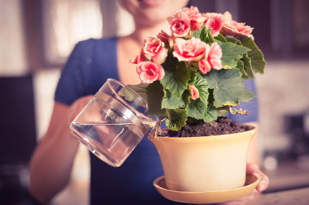 liquid fertilizer