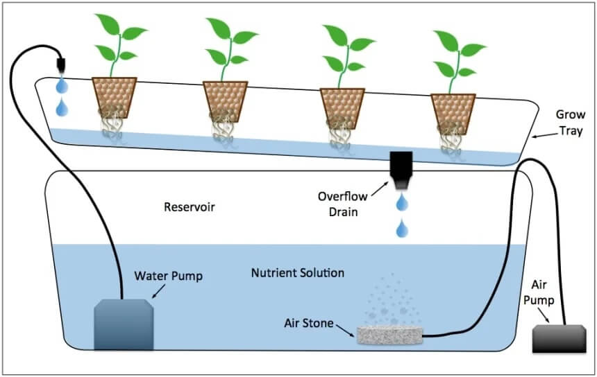 Hydroponic Garden: Top 7 Picks and Tips on How to Grow 5 Nutrient film technique hydroponic system