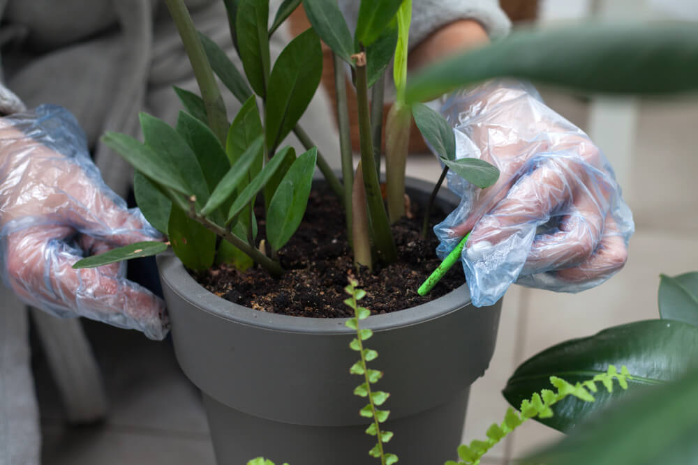 slow release fertilizer