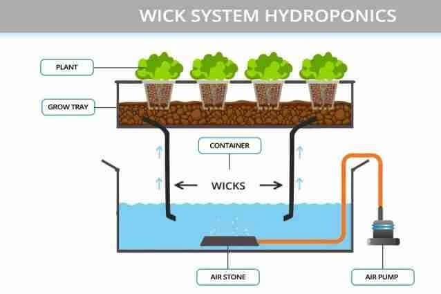 Hydroponic Garden: Top 7 Picks and Tips on How to Grow 2 Wick hydroponic system
