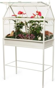 H Potter Terrarium Planter