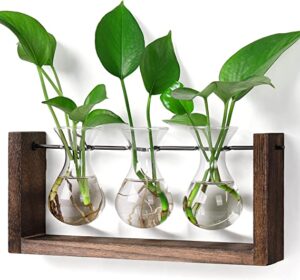 YIBOT Plant Terrarium with Wooden Stand