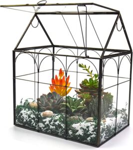 Yimorence Plant Terrarium Glass