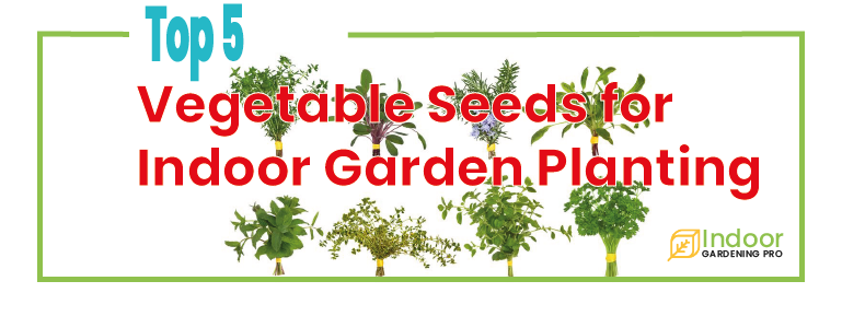 Read more about the article 9 Easy to Grow Indoor Vegetable Plants for Your Garden