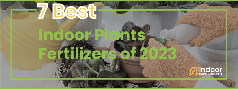 Read more about the article 7 Best Indoor Plant Fertilizer of 2026: Growth Formula for Your Houseplants