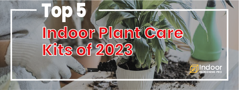 Read more about the article Plant Care: Top 5 Kits and Essential Tips to Make Indoor Gardening Easy