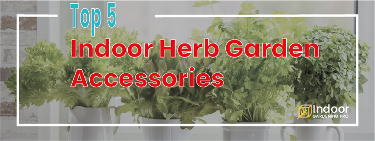 Read more about the article Indoor Herb Garden: Top 5 Accessories and Tips You Should Know